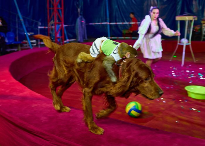 KS_2025_11_08-368_resized