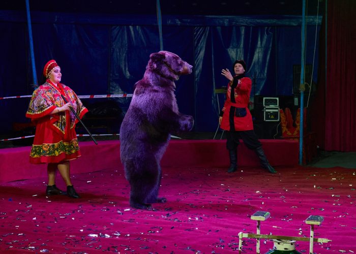 KS_2025_11_08-767_resized