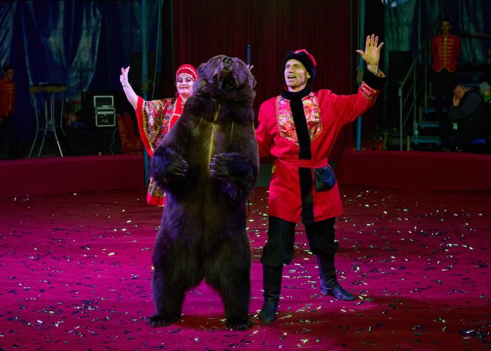 KS_2025_11_08-774_resized