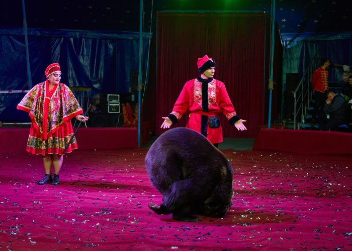 KS_2025_11_08-778_resized