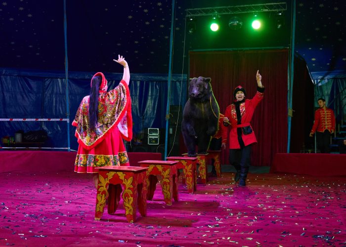 KS_2025_11_08-782_resized