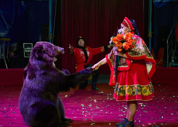 KS_2025_11_08-788_resized