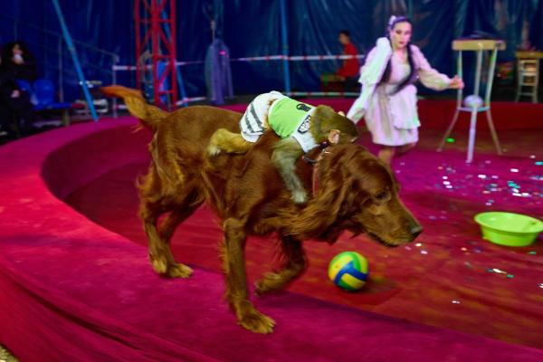 KS 2025 11 08-368 resized