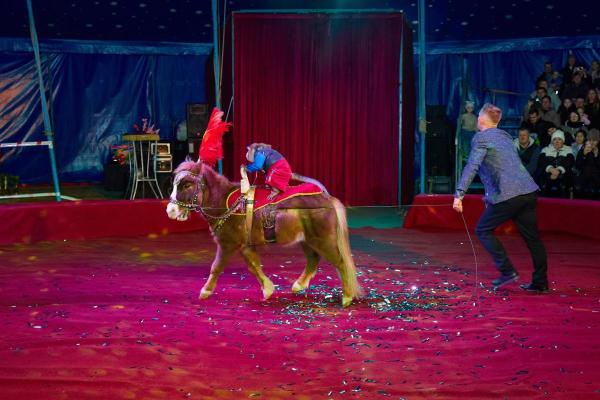 KS 2025 11 08-409 resized