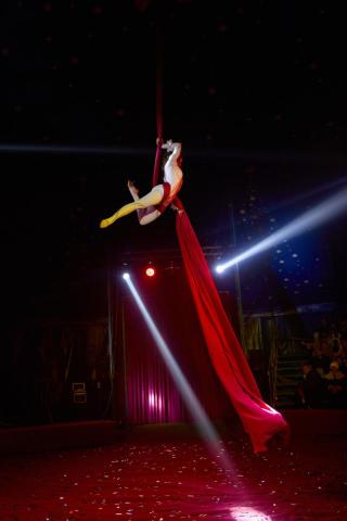 KS 2025 11 08-632 resized