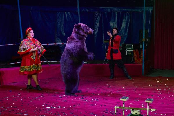 KS 2025 11 08-767 resized