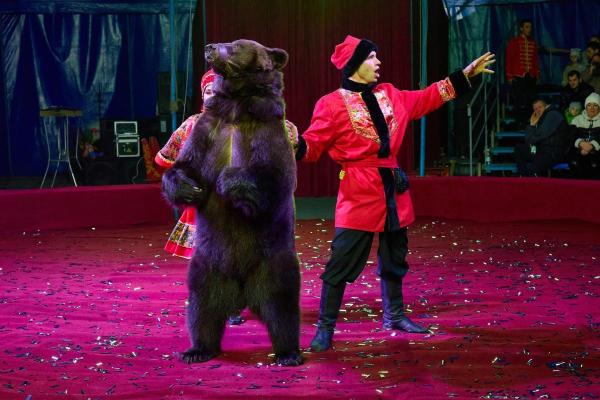 KS 2025 11 08-773 resized