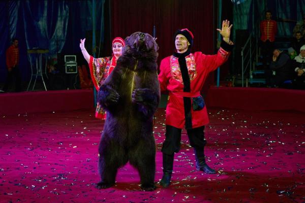 KS 2025 11 08-774 resized