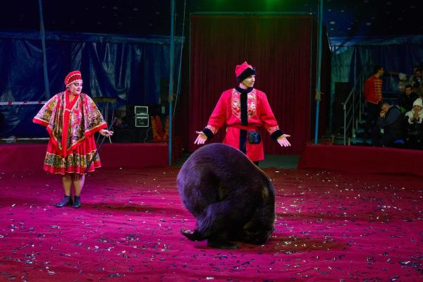 KS 2025 11 08-778 resized