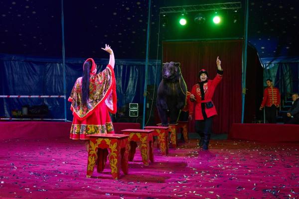 KS 2025 11 08-782 resized