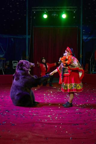 KS 2025 11 08-788 resized